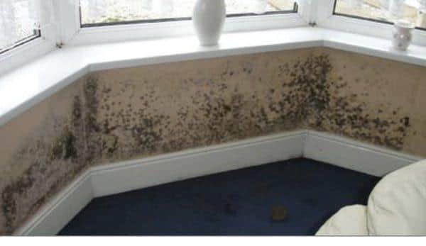 Mould is found throughout the home,  but steps can be taken to prevent damage. Photo: HG