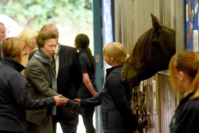 Princess Anne, president of World Horse Welfare, opened Penny Farm in 2001 and returned in 2019 to open its visitor centre, as well as meet staff, volunteers and supporters