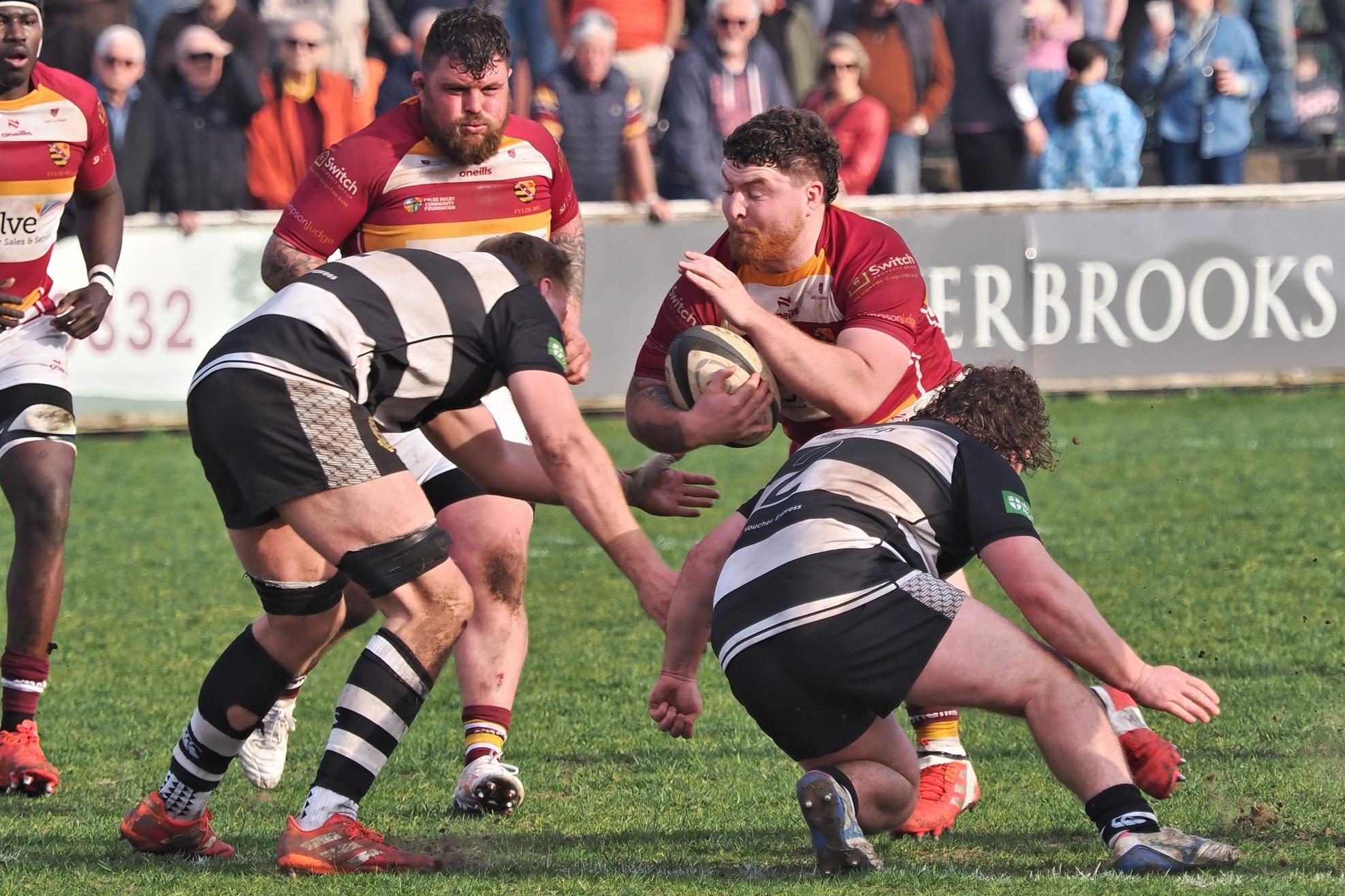 “It feels strange having a couple of weeks off”: Fylde RFC’s wait to ...