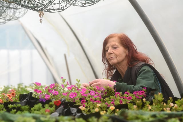 "I have worked in the gardening department at Blackpool Pleasure Beach for 18 years. We have been growing as many plants as we can for as long as I can remember."