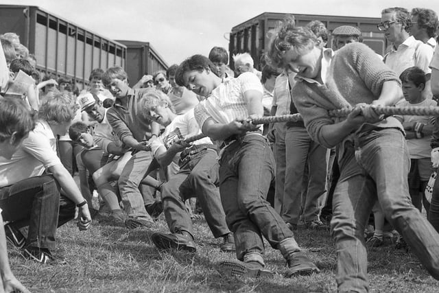 The tug-of-war contest in full swing during the 170th Garstang Show