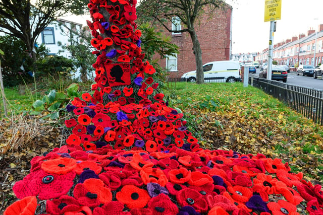 The poppy waterfall is around 12ft long and 3ft wide, and the group of volunteers, including members of the Talbot Ward PACT group, started working on the tapestry in early October.