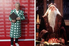 Left: Sir Ian McKellen. Right: Richard Harris as Dumbledore. (Both images: Getty)