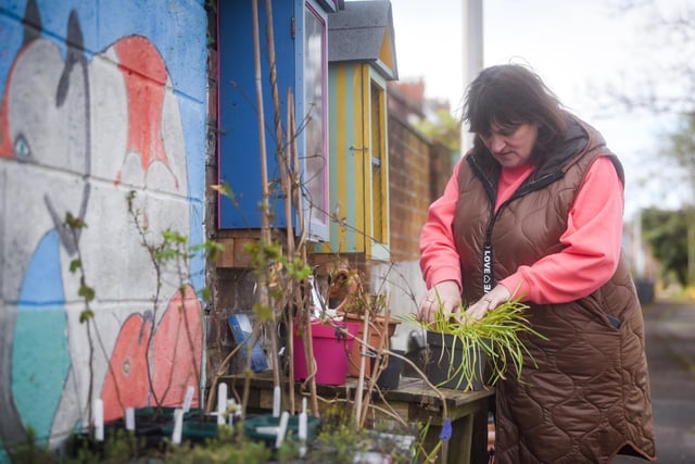 A group of residents have created a community garden in their alleyway called Strawberry Gardens. Pictured is Wendy Sweeney.