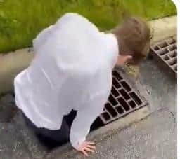 Stuart Holt jumps into the drain in Pittsburg to rescue the chicks