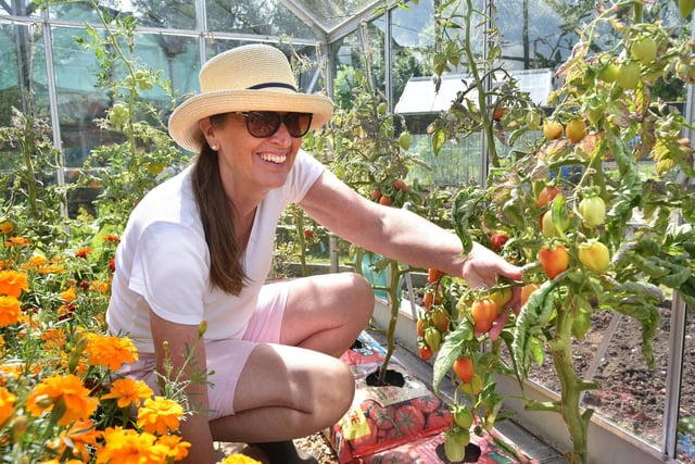 Jaqui Jackson and her prized plum tomatoes