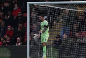 Richard O'Donnell has been Blackpool's first-choice in goal in League One in the last few weeks.