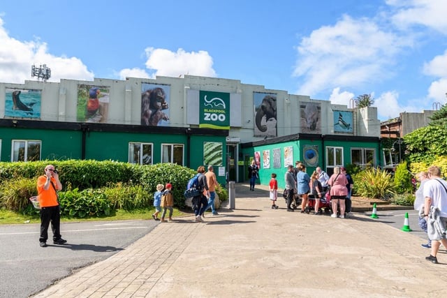 Spend a day with the animals at the fabulous Blackpool Zoo