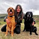 Rachel Bean is giving this advice to Blackpool dog owners - Animal News Agency