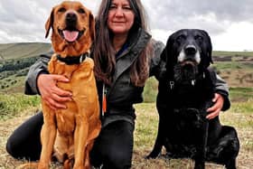 Rachel Bean is giving this advice to Blackpool dog owners - Animal News Agency
