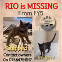 Missing Poster