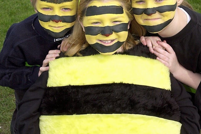 Three of the little bugs, from the Kincraig Primary School (Bispham) production,"Mini Beast's Madness", which will be part of the Grand Theatre "Schools Alive" project. From left, Jamie Burns (9), Keifer Raistrick (11) and Amy Anderson (8)