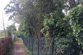 New fencing has been added to the footpath leading to Marton Mere (picture - Blackpool Council)
