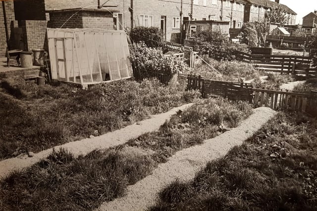 These were back gardens to a row of houses on Grange Park in 1982 - but which street was it?