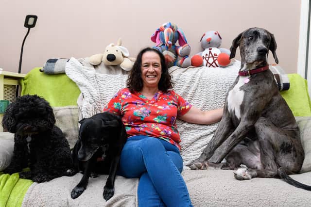 Sue Dupree makes memorial teddies out of old clothes - it started when her mum died of Parkinson's and she had an old coat so she made it into a teddy as a way of remembering her. Photo: Kelvin Stuttard