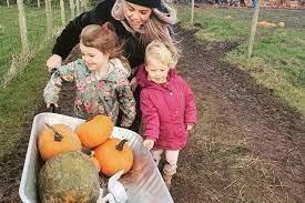 Pumpkin nights at Mrs Dowsons - At Mrs Dowson's Farm Park, Hawkshaw Farm, Longsight Road, Clayton-le-Dale, you can choose from 12 different pumpkin types, as well as meeting live scarecrow actors. Dates: 16th & 17th October and 23rd-31st October. Telephone 01254 812407.