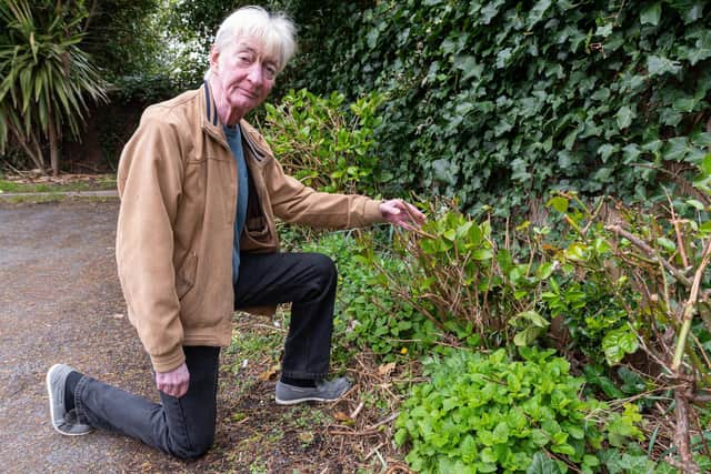 Resident Ian Morris with the remains of the garden which he says has been destroyed by the contracted grounds team.  Photo: Kelvin Stuttard