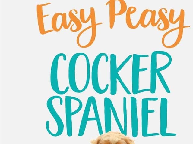 Easy Peasy: Cocker Spaniel, Labrador and Cockapoo by Steve Mann