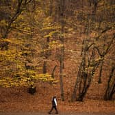 As Autumn starts, the Gazette asked its readers what their favourite thing about the season is. Photo by ARMEND NIMANI/AFP via Getty Images.