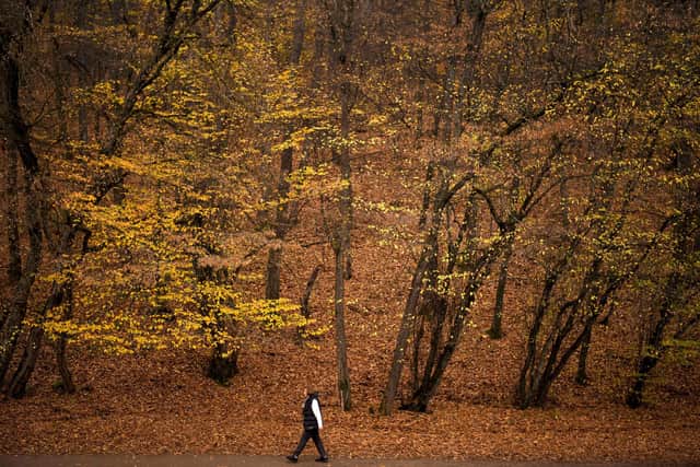 As Autumn starts, the Gazette asked its readers what their favourite thing about the season is. Photo by ARMEND NIMANI/AFP via Getty Images.