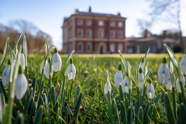 If you fancy a gentle stroll through wooded paths and then a cup of tea and a slice of cake, why not visit  Lytham Hall on Mother's Day? There are some lovely walks,  short or longer, and the inviting tea room?