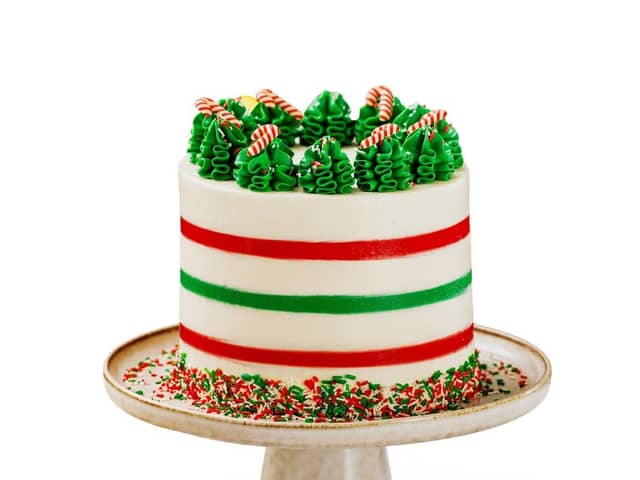 Candy Cane Hot Chocolate Cake.