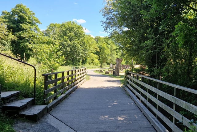The bridge into the main area at Yarrow Valley Country Park