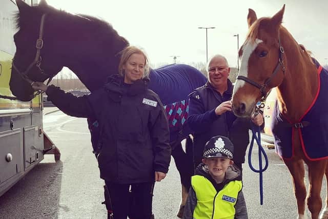 Oliver Shorthouse, aged six, with the police horses