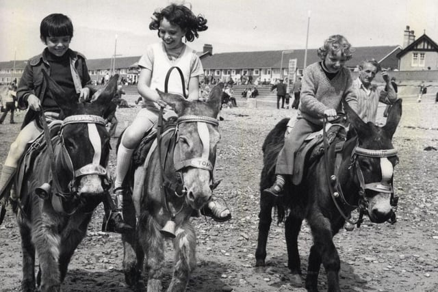 Donkeys on Cleveleys Beach in 1986