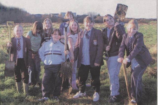 Collegiate High School get Busy Planting trees in the school grounds