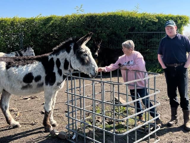 Gillian Morris and son Andrew with one of the donkeys taking a break from Blackpool Beach