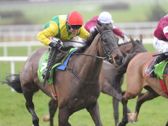 Sizing John - Gold Cup bound