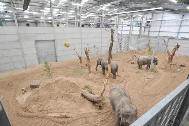 Blackpool Zoo's new elephant house