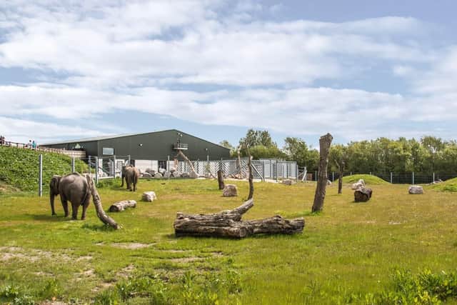 In January, the zoo welcomedtwo new elephants from Twycross Zoo, who took up residence in anew 5m 'Project Elephant' home