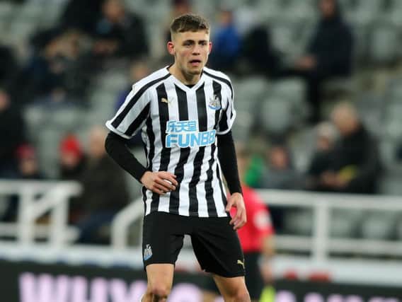 Terry McPhillips confirmed Blackpool are interested in taking Newcastle striker Elias Sorensen on loan
