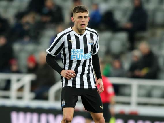 Blackpool want to take Newcastle United striker Elias Sorensen on loan