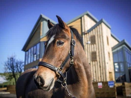 "A lovely free place to go and visit. We walked around the farm, patting the various horses and donkeys. Also has a great children's play area. Lovely staff, has a great cafe well worth a visit." | Average rating: 4.5/5