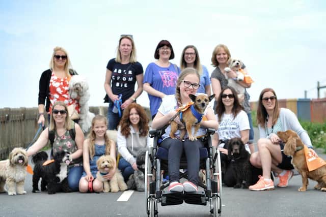 Emily Shilton and the dog walkers