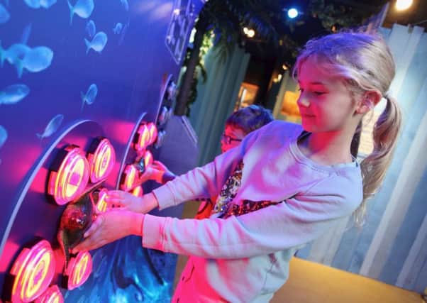 Turtle Rescue at SEA LIFE Blackpool