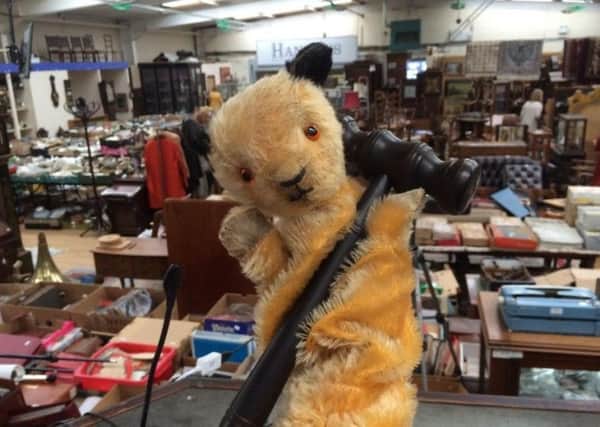 Sooty gets ready for the auction