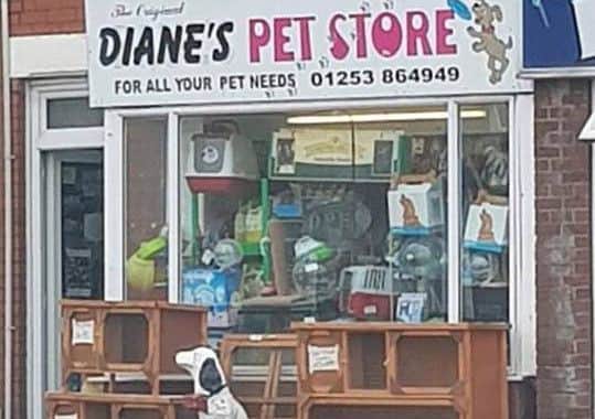 Diane's Pet Store, Thornton