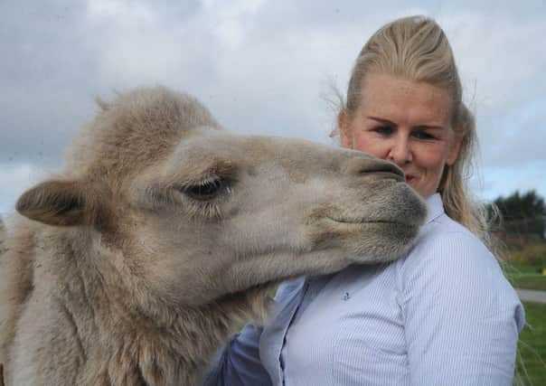 Ringmistress Petra Jackson with Kachana the camel.  PIC BY ROB LOCK 10-8-2017