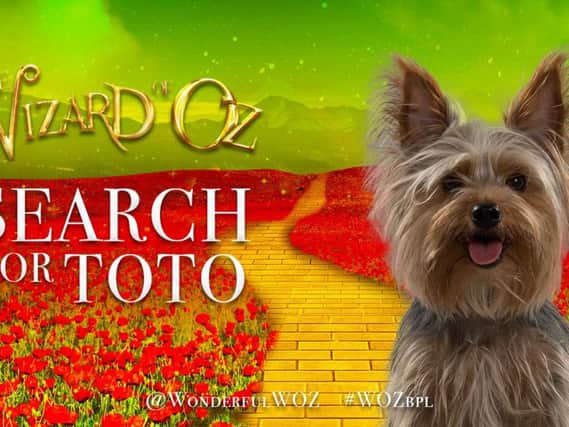 Help the Winter Gardens cast Toto in their production of The Wizard Of Oz
