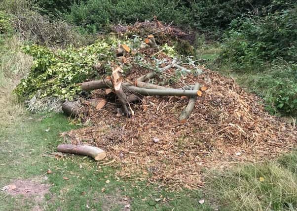 Cases of green waste being dumped in the park at Moor Park in Bispham have been reported to Blackpool Council