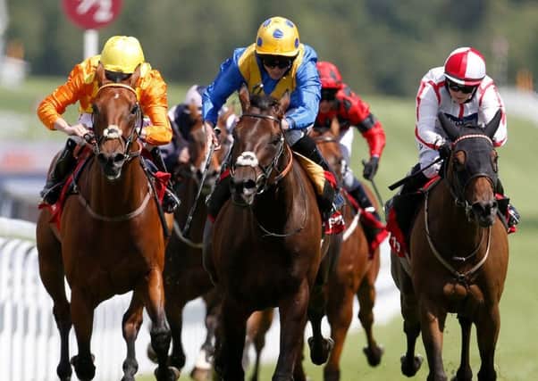 Poet's Word (centre) is fancied to shine at Ascot