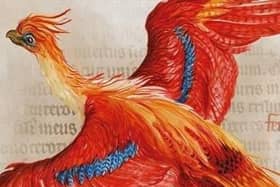 Harry Potter event