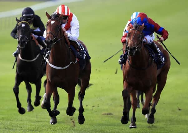 Urban Fox (centre) is fancied to impress at Goodwood