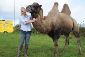Feature on the importance of animal welfare at Circus Mondao, which is currently set up for August at Norcross.
Ringmistress Petra Jackson with Kashmir the camel.  PIC BY ROB LOCK
10-8-2017
