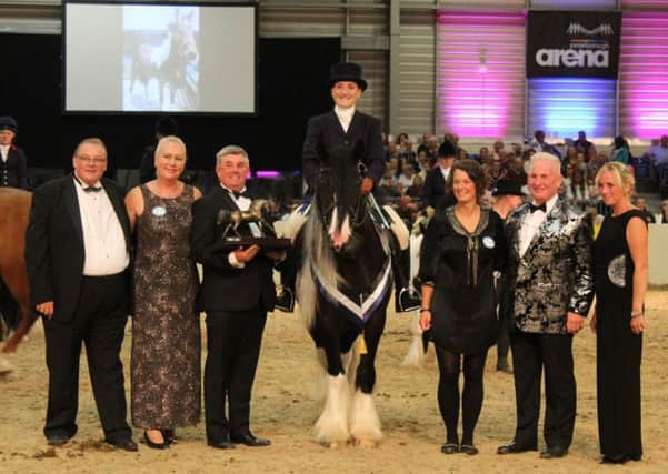 Frodo the rescue horse and rider Nicolle Walmsley at Equifest 2018. Picture by World Horse Welfare Penny Farm