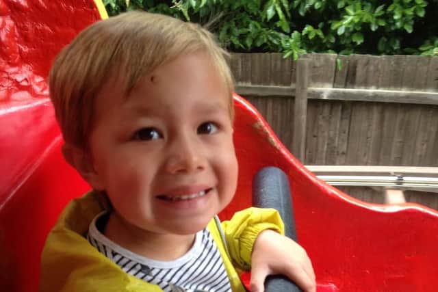 William Mellor riding on the Get Set Go Tree Top Adventure at CBeebies Land